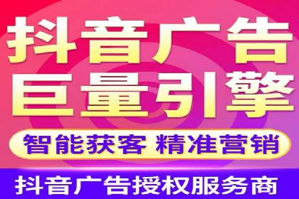 专业SEM运营托管服务案例分析
